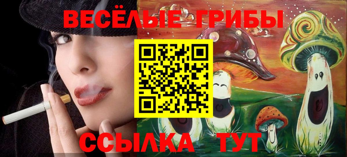 Псилоцибиновые грибы Psilocybe Заинск