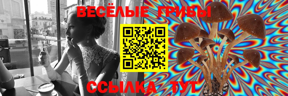 Марихуана  КОКАИН  MDMA  Мефедрон   Заинск  Кокаин  Вход с VPN  Лсд 25 